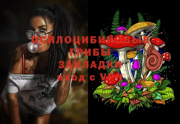 гидропоника Белоозёрский