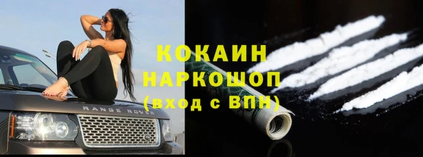 гашик Алексин