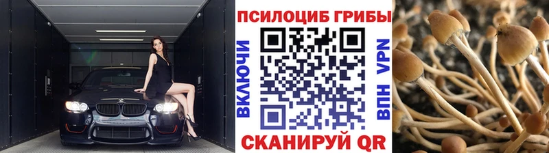 Галлюциногенные грибы GOLDEN TEACHER Фокино